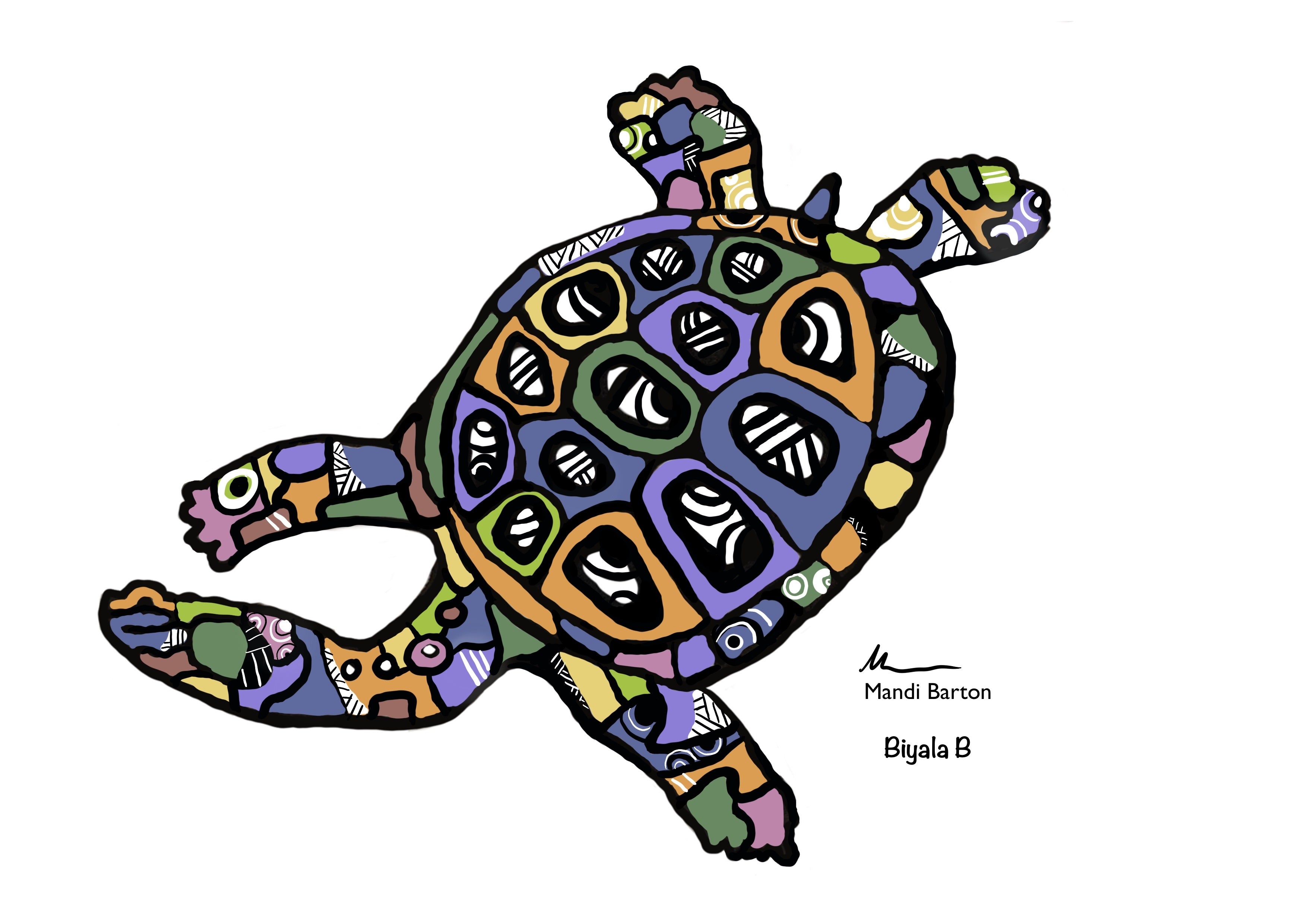 Turtle Bayadherra Print